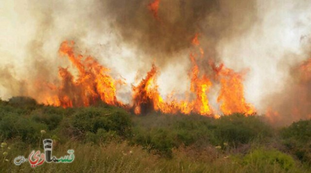  مع شدة حرارة الشمس : 18 سيارة اطفاء لإخماد حريق في منطقة احراش بين شميش